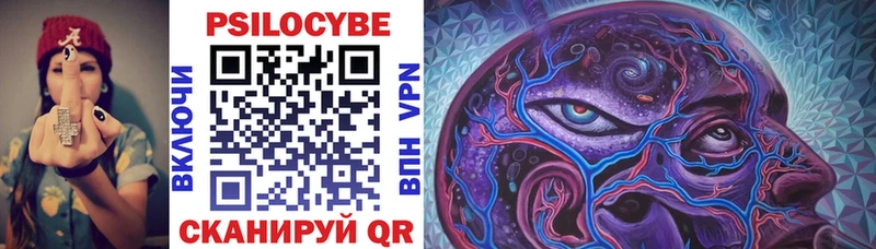 Псилоцибиновые грибы Psilocybe Новомичуринск