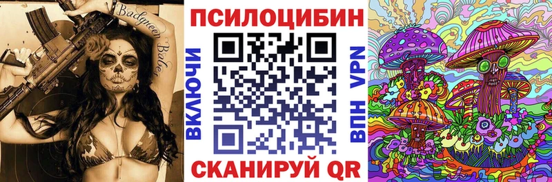 Галлюциногенные грибы GOLDEN TEACHER  Купить  Новомичуринск 